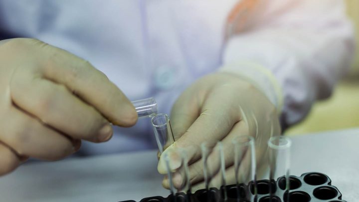 Dygestoria laboratoryjne- jakie są ich zastosowania i dlaczego warto je wykorzystać w badaniach naukowych?
