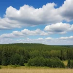 Czekam na wiatr co rozgoni": O czym jest utwór?